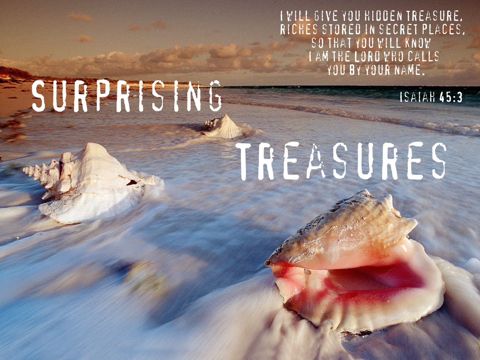 God’s Surprising Treasures | God's Surprising Treasures